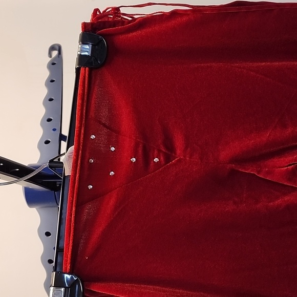 Velvet Rhinestone Pants - Picture 4 of 5